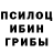 Галлюциногенные грибы мицелий determined