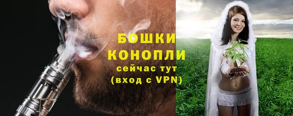 шишки Абинск