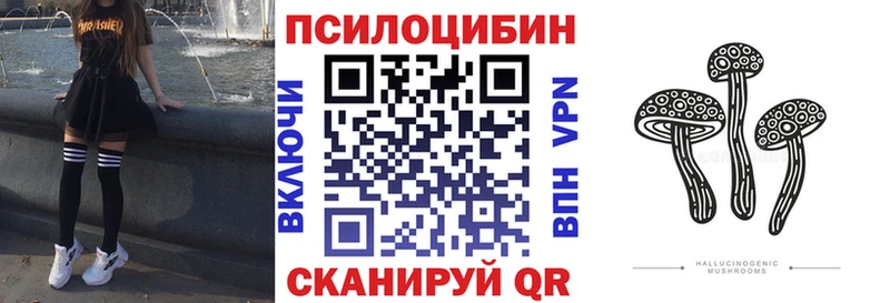 Галлюциногенные грибы Cubensis  Нерчинск 