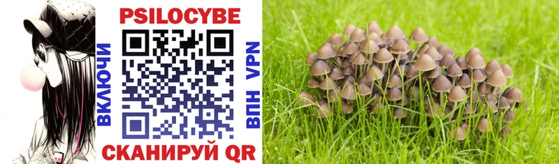 Псилоцибиновые грибы Cubensis Нерчинск